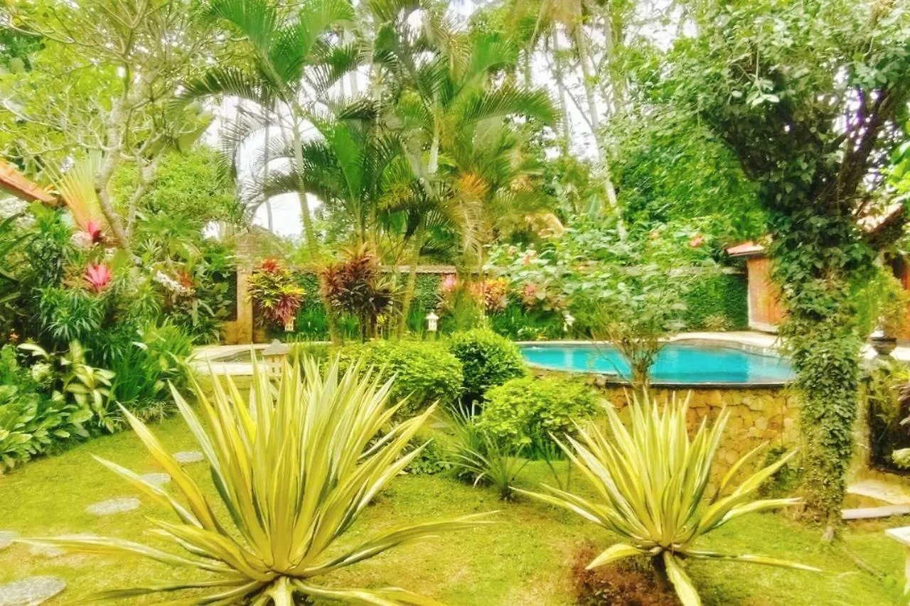 Guest house Tropical Deluxe Room Infinity Pool Cyn Ubud  Indonesia